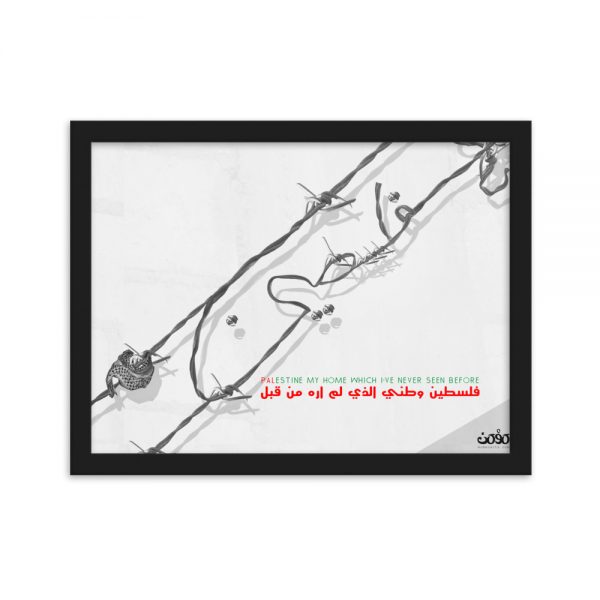 Palestine my home which i’ve never seen before -Framed matte paper poster-02