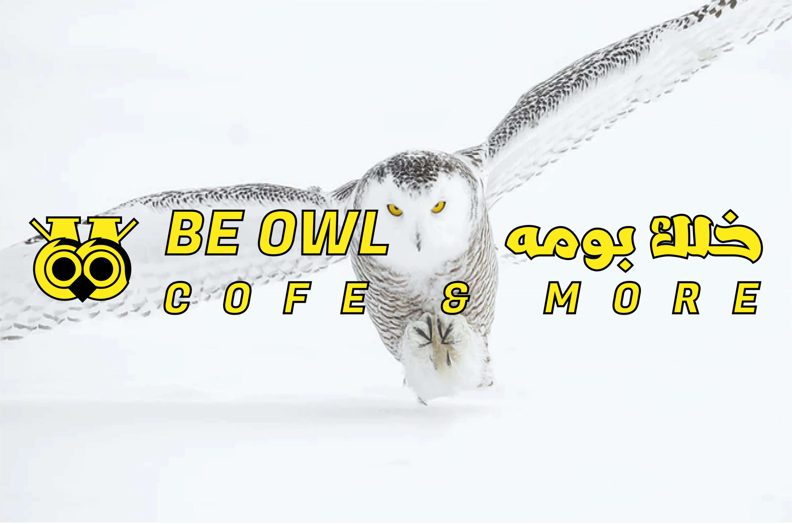 be owl cafe logo variations