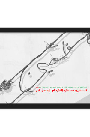palestine my home which i've never seen before framed matte paper poster